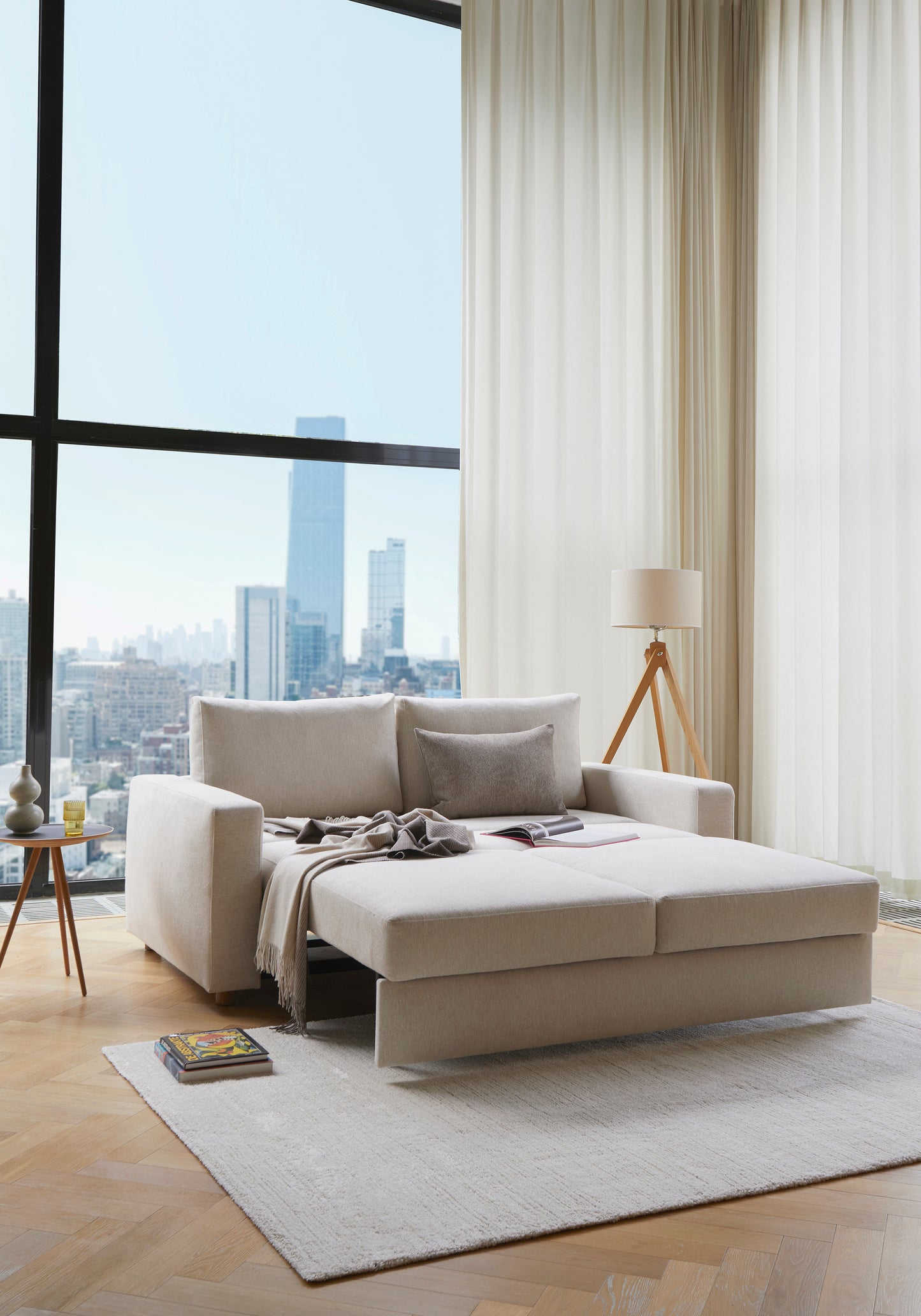 Neah Convertible Sleeper Sofa