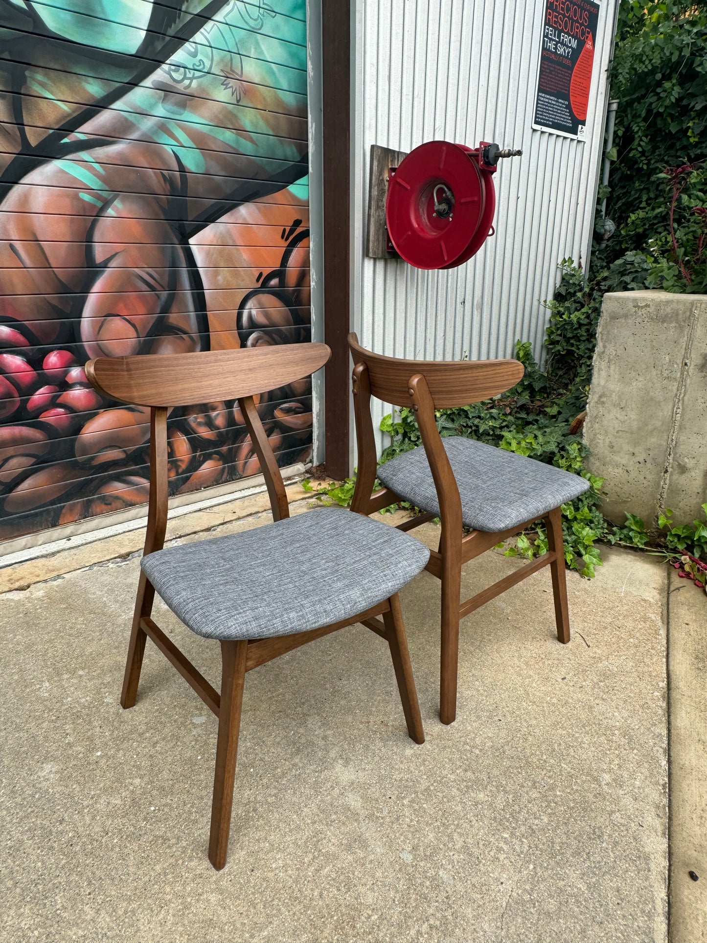 Apollo Walnut-Toned Dining Chair